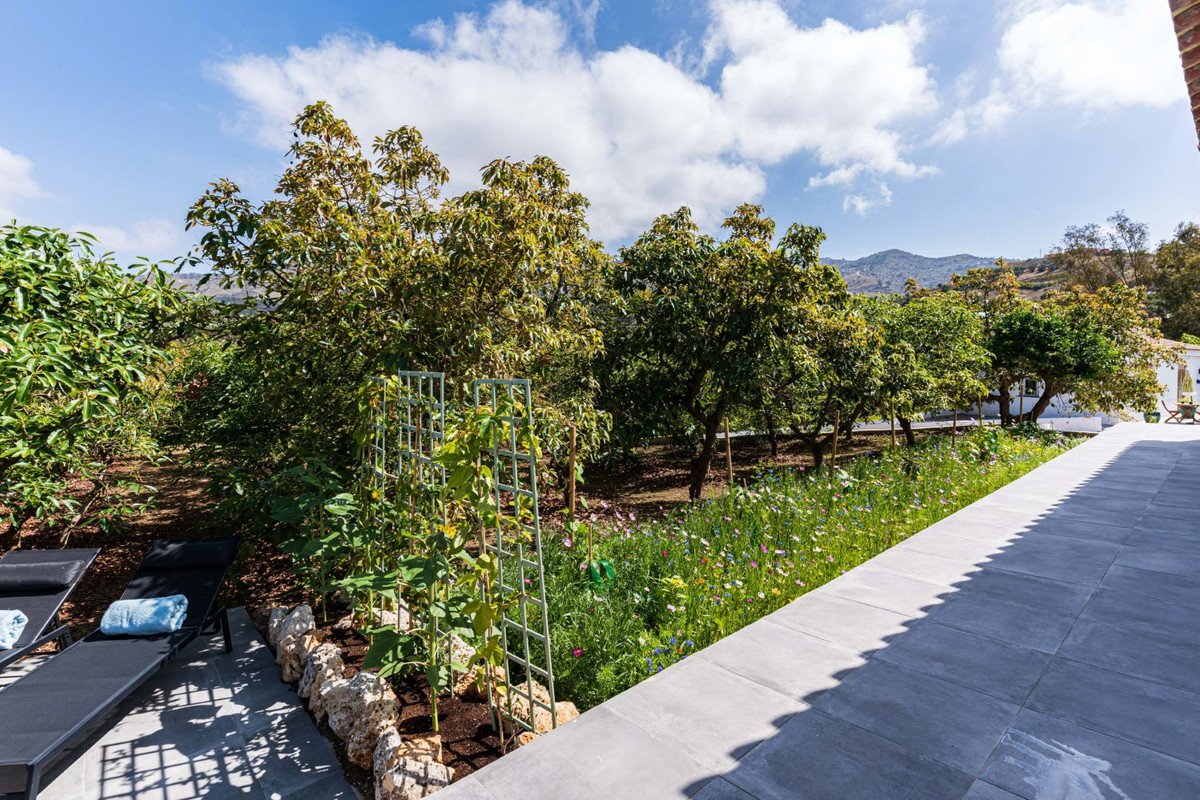 Property main view 37