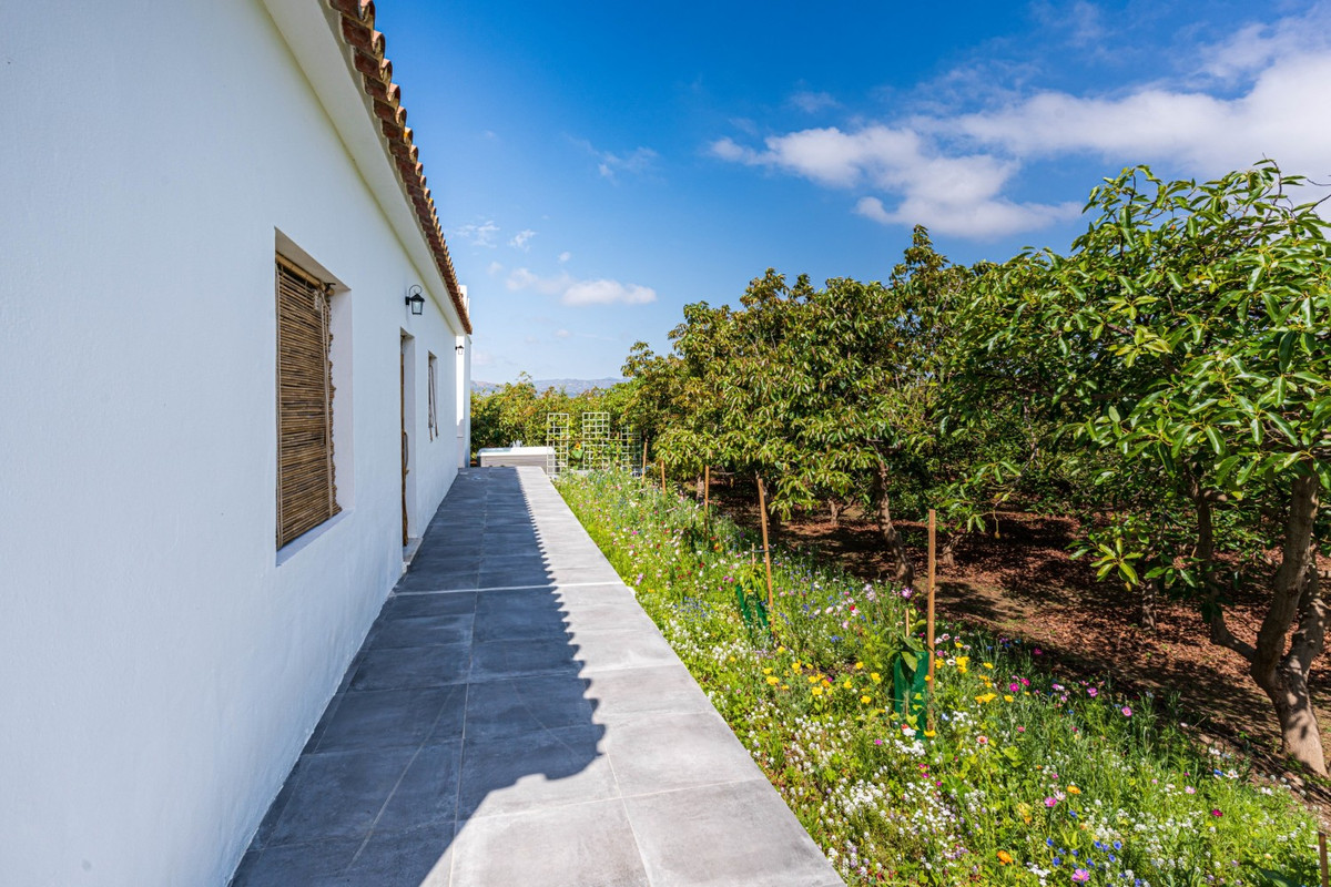 Property main view 38