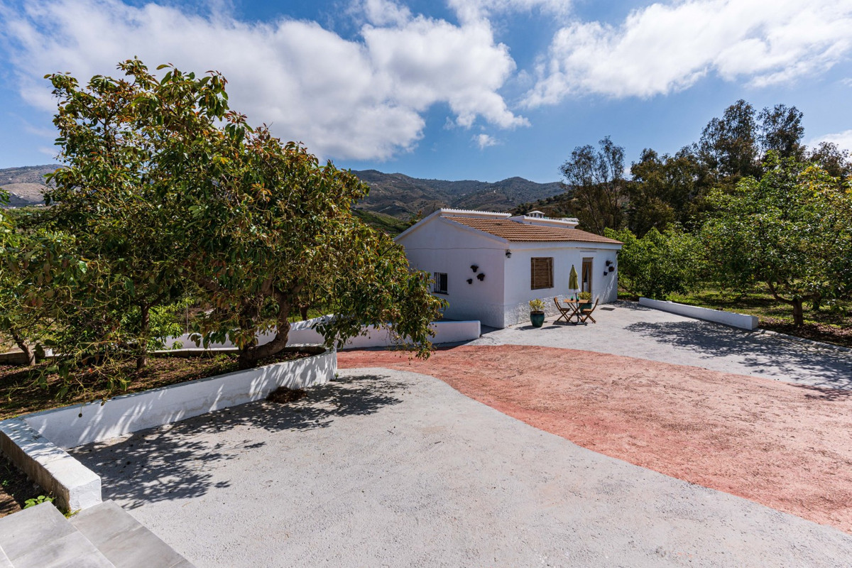 Property main view 39