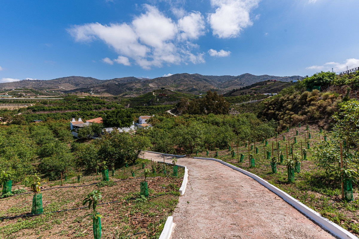 Property main view 45