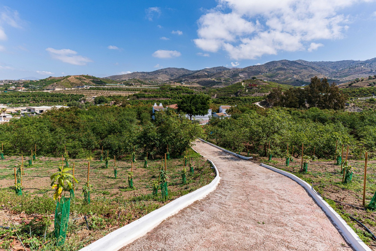 Property main view 46