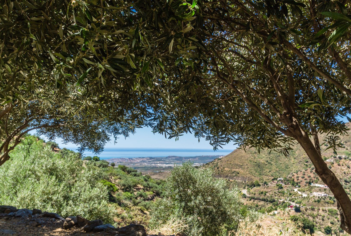 Property main view 15