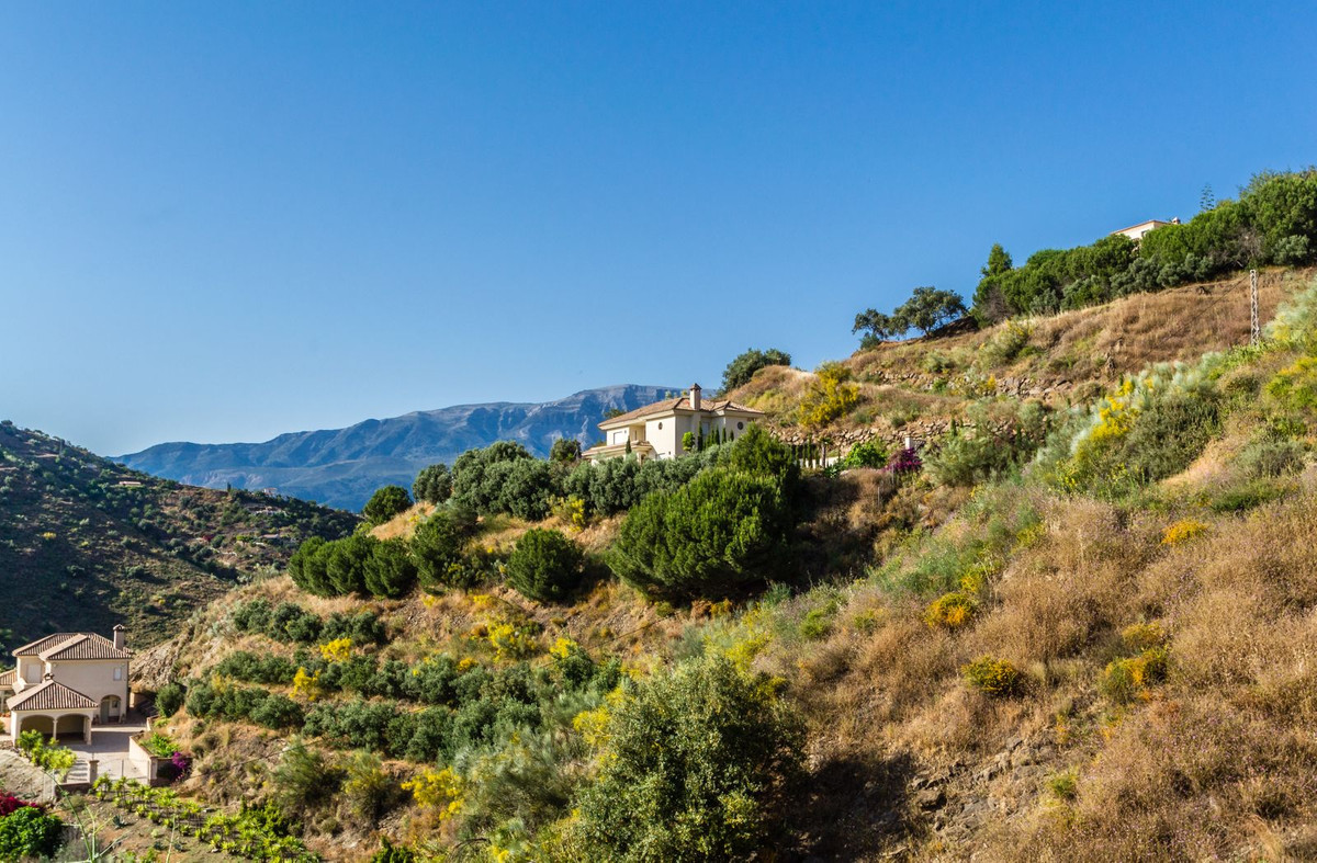 Property main view 2