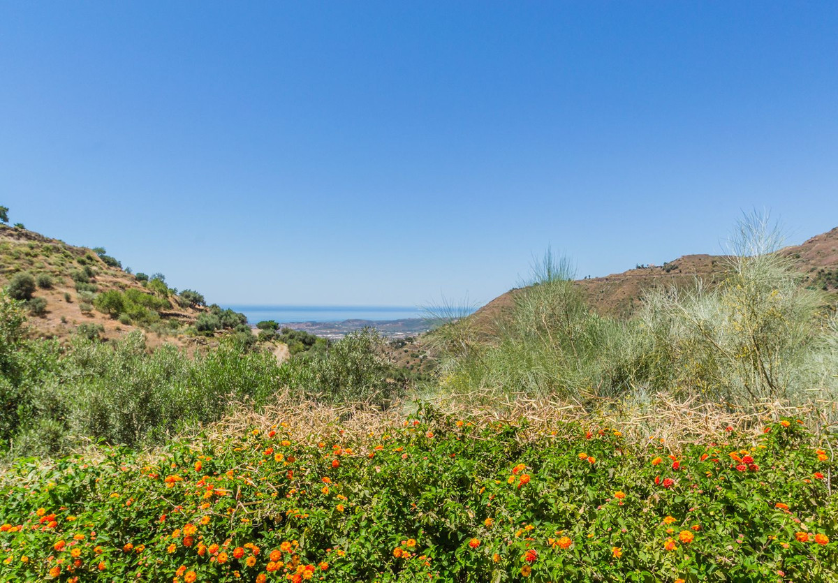 Property main view 22