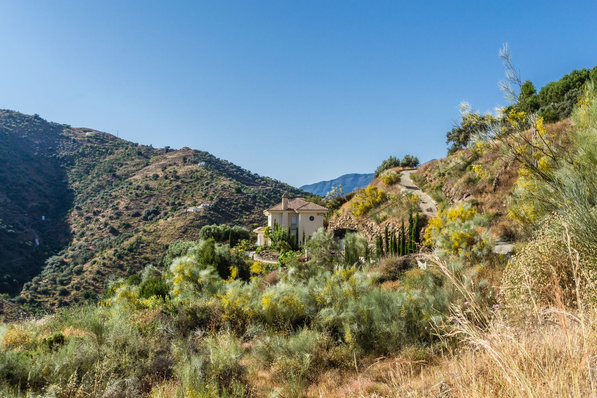 Property main view 45