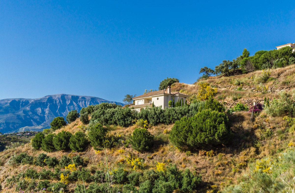 Property main view 49