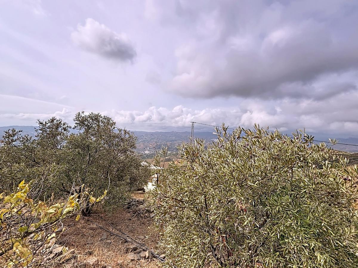 Property main view 35