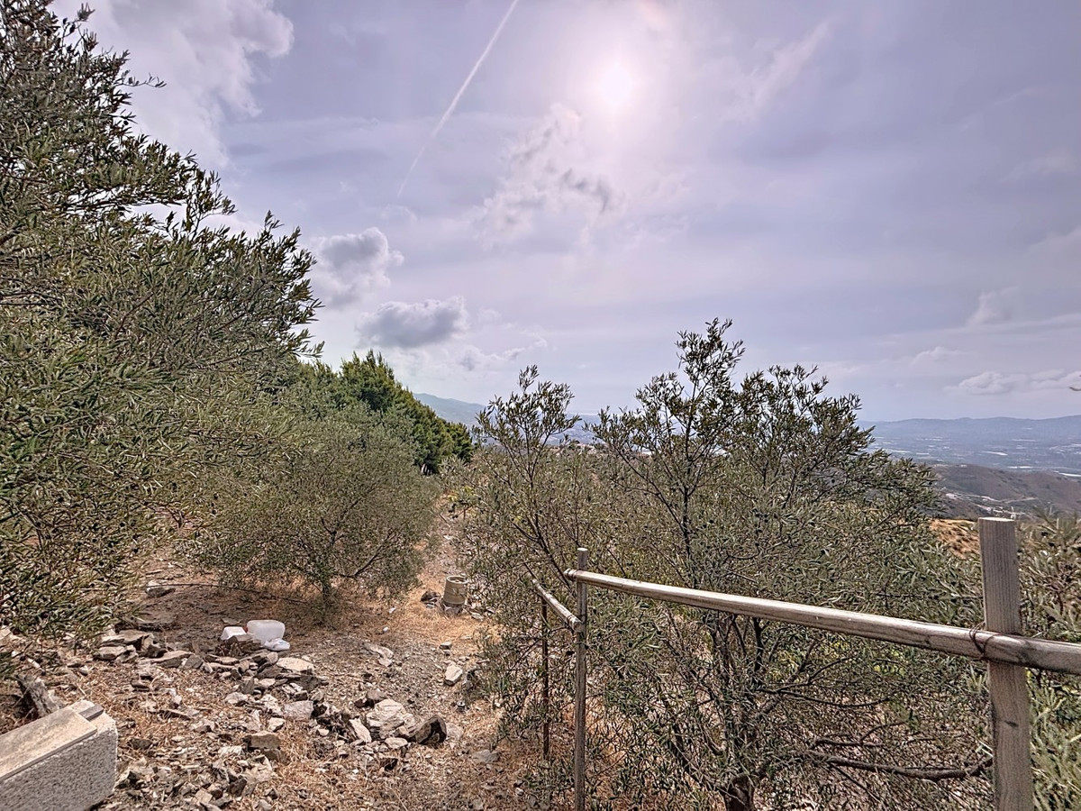 Property main view 39