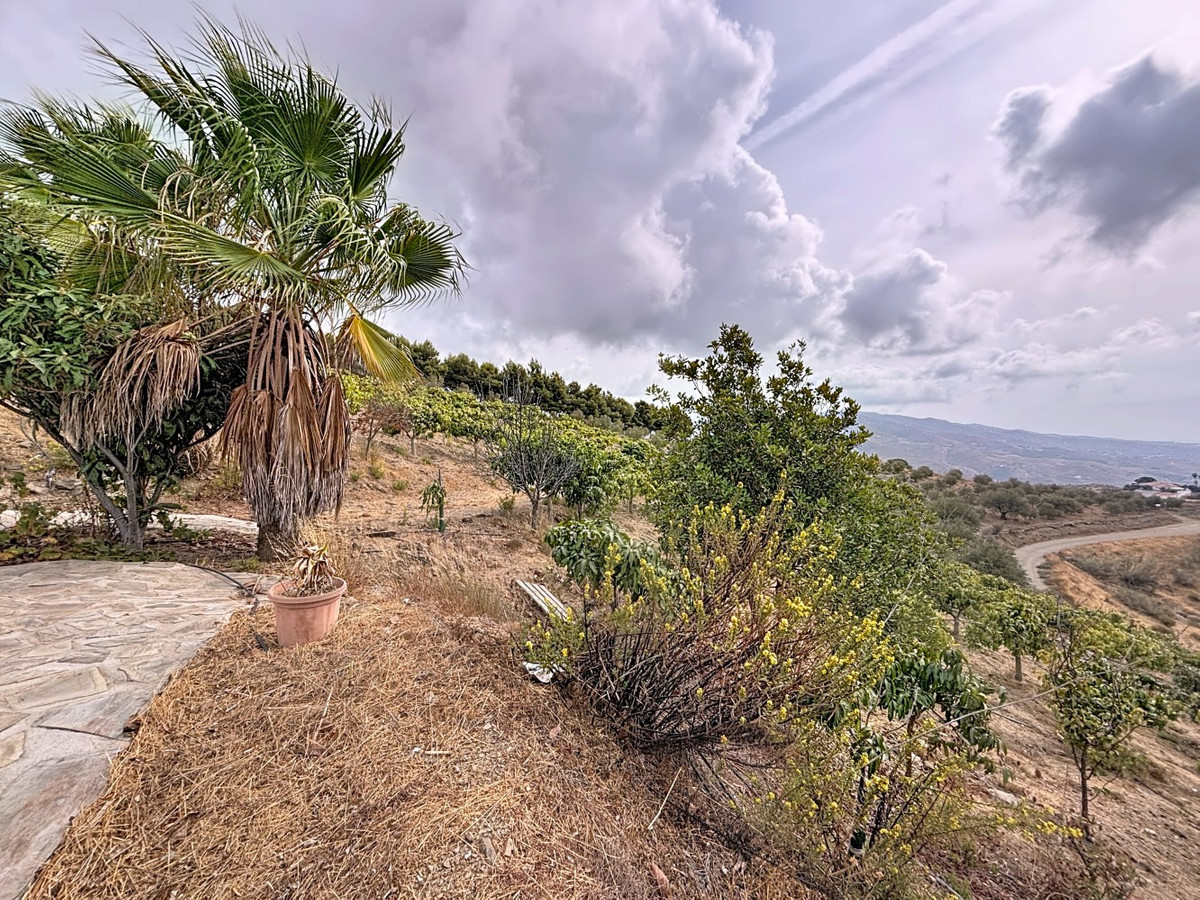 Property main view 41