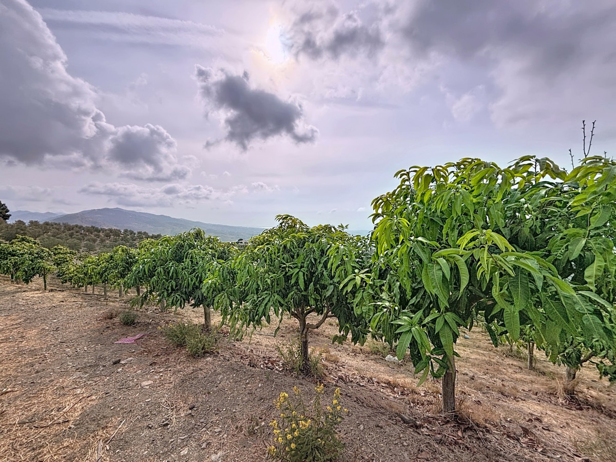 Property main view 42