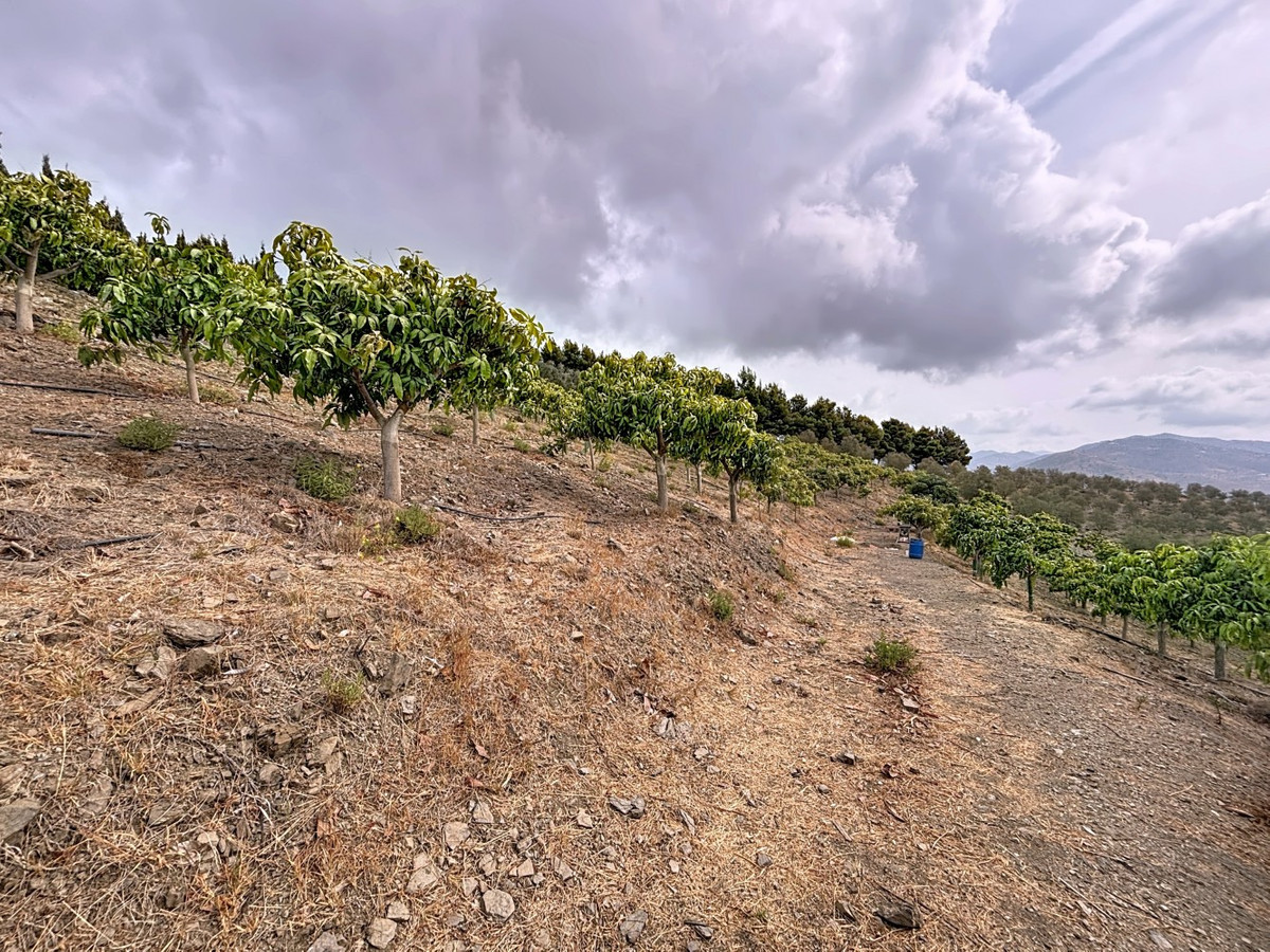 Property main view 43