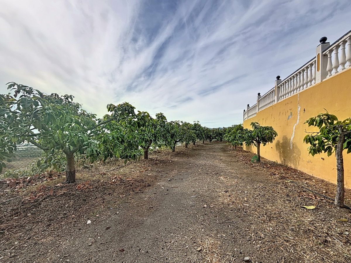 Huis te koop in Vélez-Málaga | 4 slaapkamers H5257960