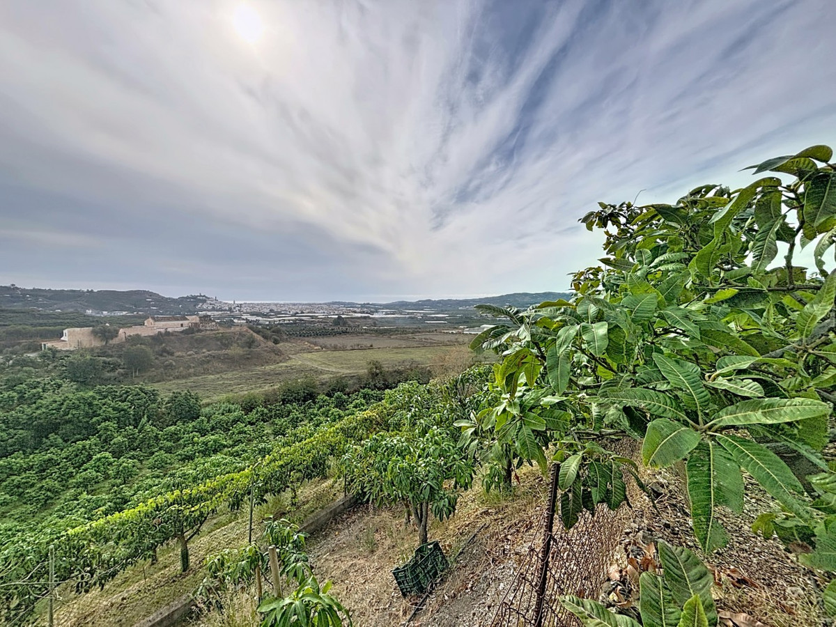 Huis te koop in Vélez-Málaga | 4 slaapkamers H5257960