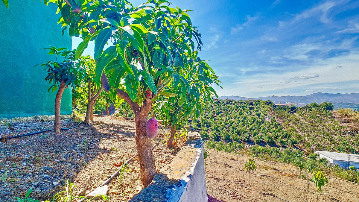 Huis te koop in Vélez-Málaga | 3 slaapkamers H5305204