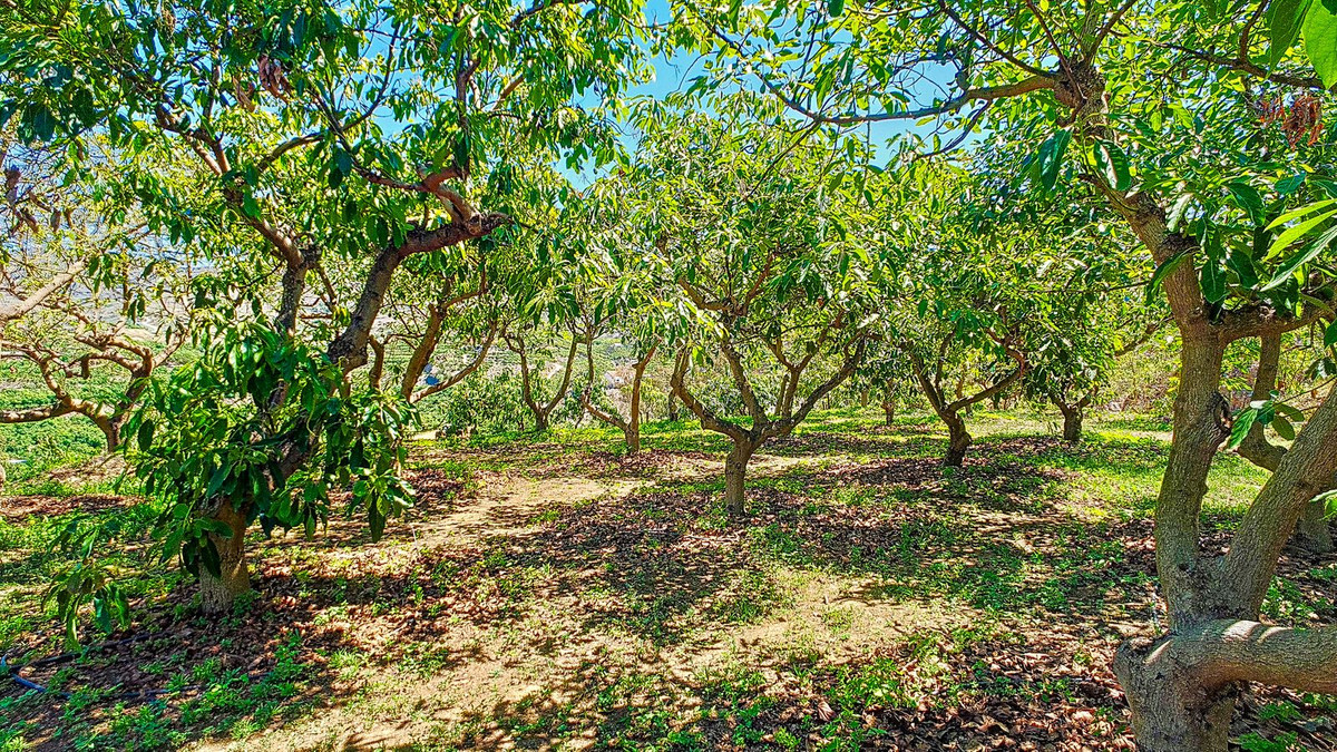 Huis te koop in Vélez-Málaga | 3 slaapkamers H5305204