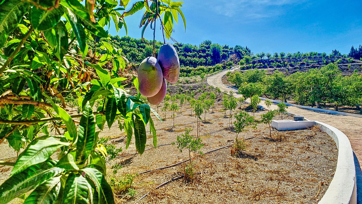 Huis te koop in Vélez-Málaga | 3 slaapkamers H5305204