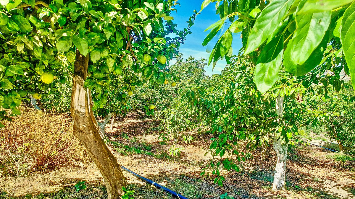 Huis te koop in Vélez-Málaga | 3 slaapkamers H5305204