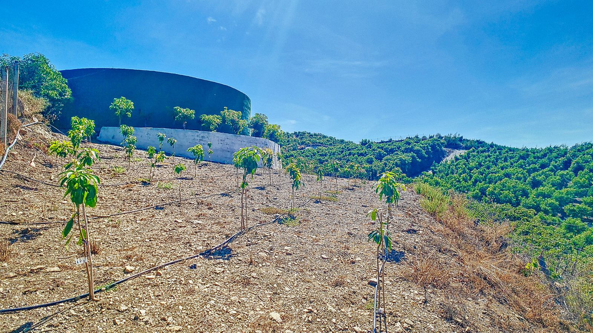 Huis te koop in Vélez-Málaga | 3 slaapkamers H5305204