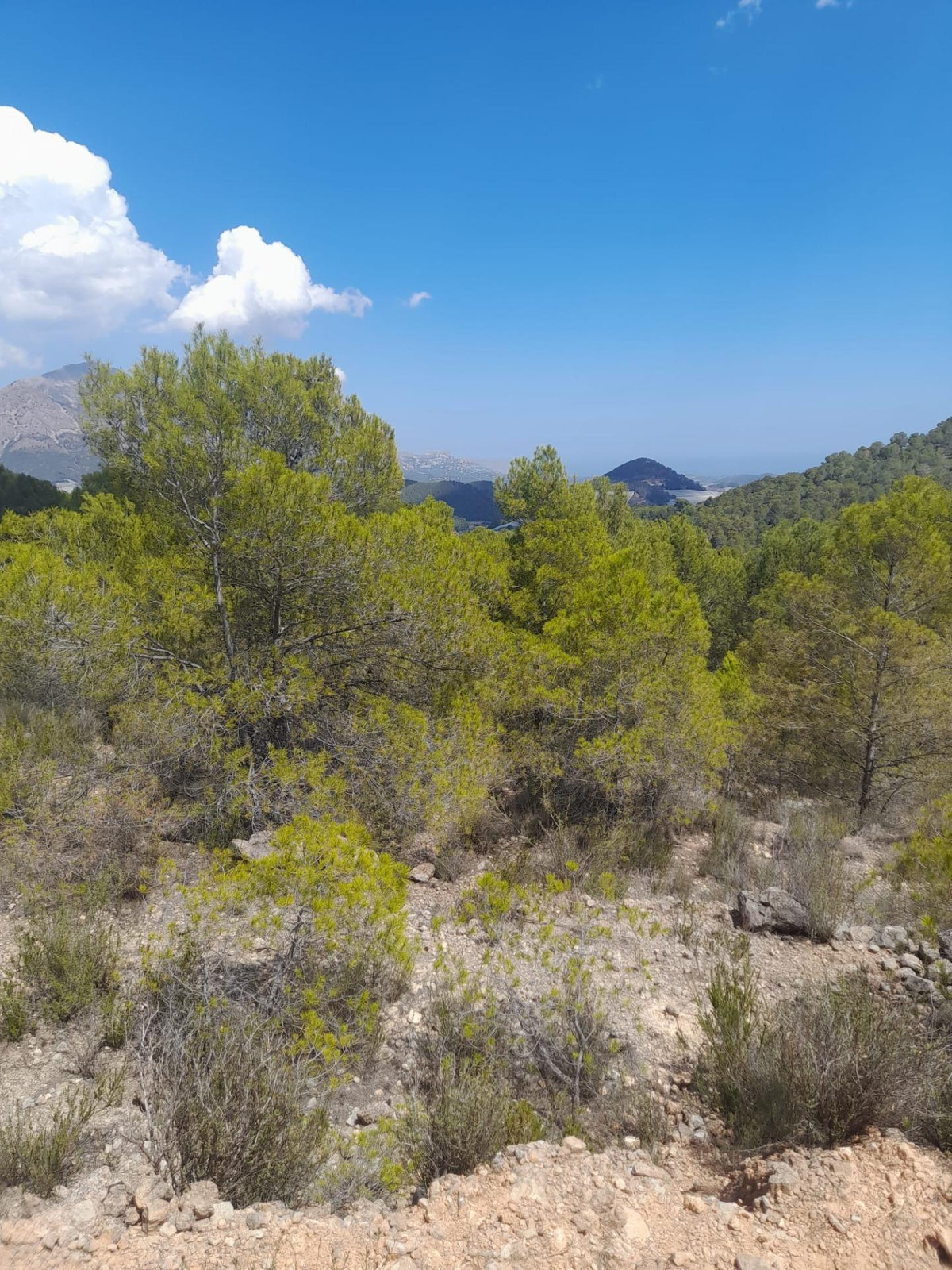 Property main view 10