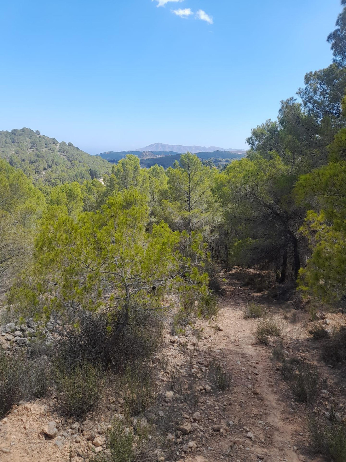 Property main view 11