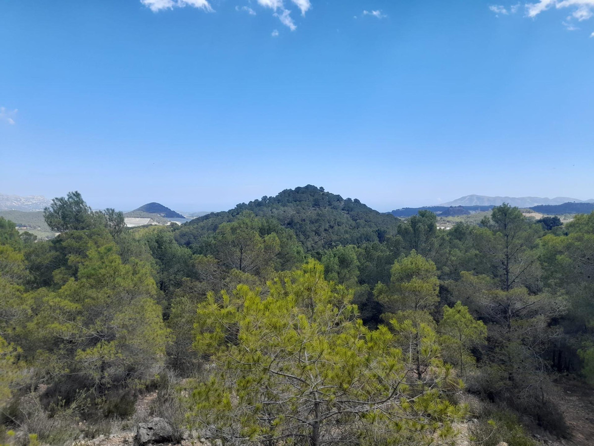 Property main view 13