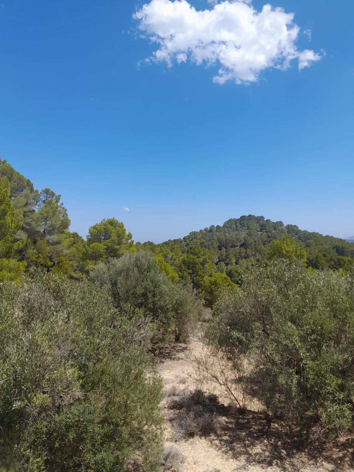 Property main view 14