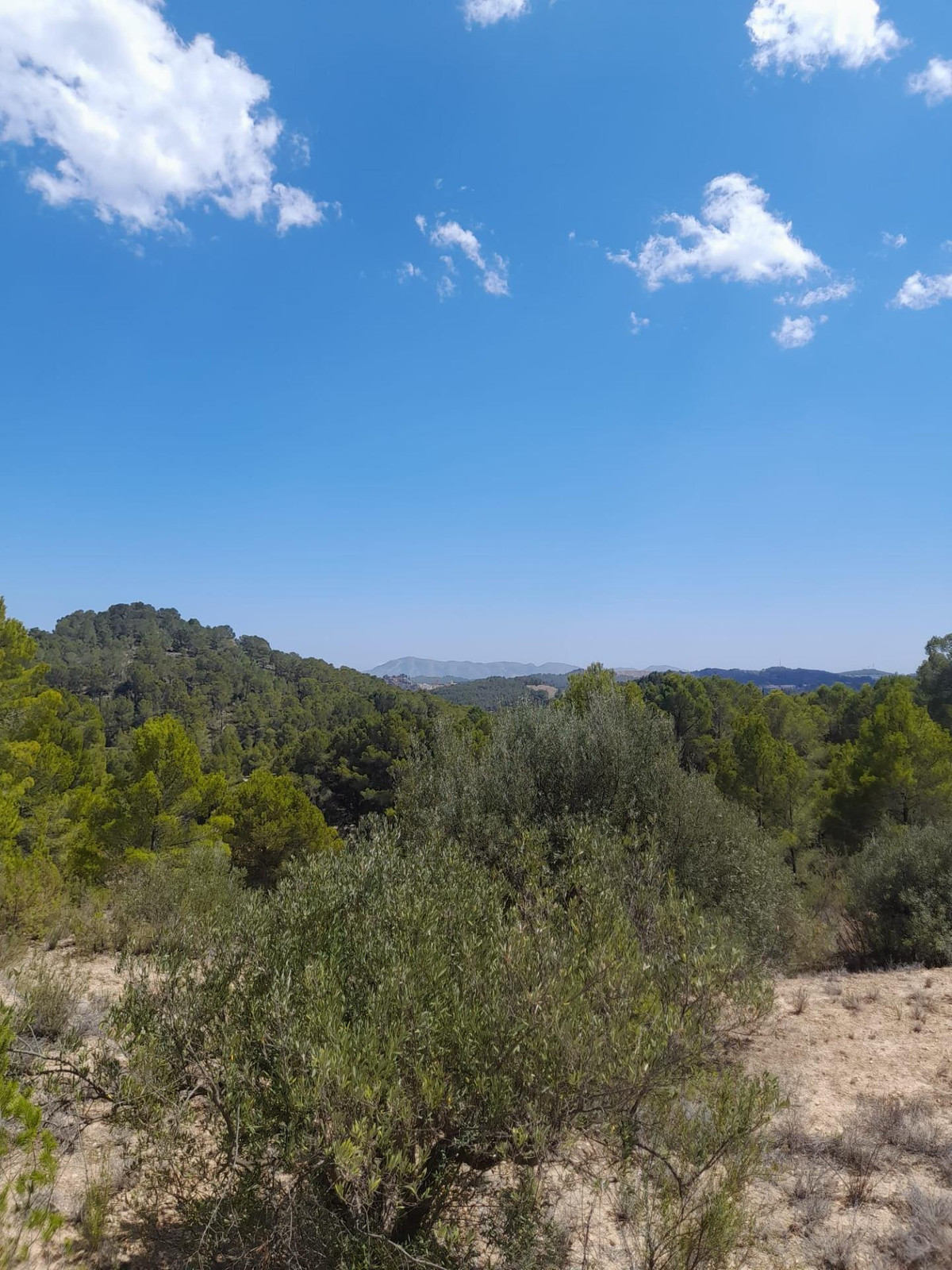 Property main view 15