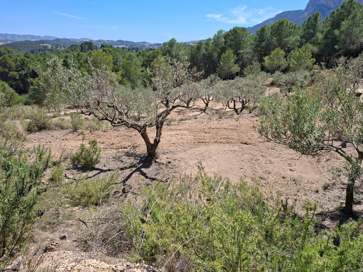 Property main view 3