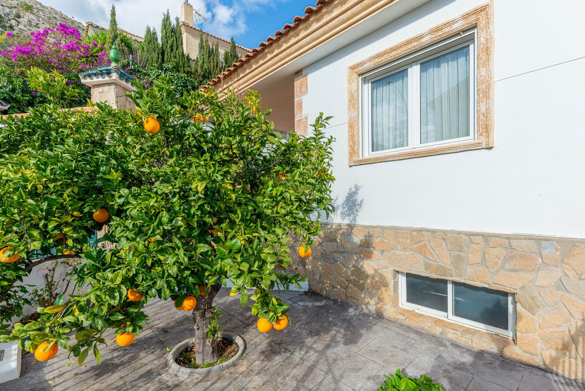 Property main view 41