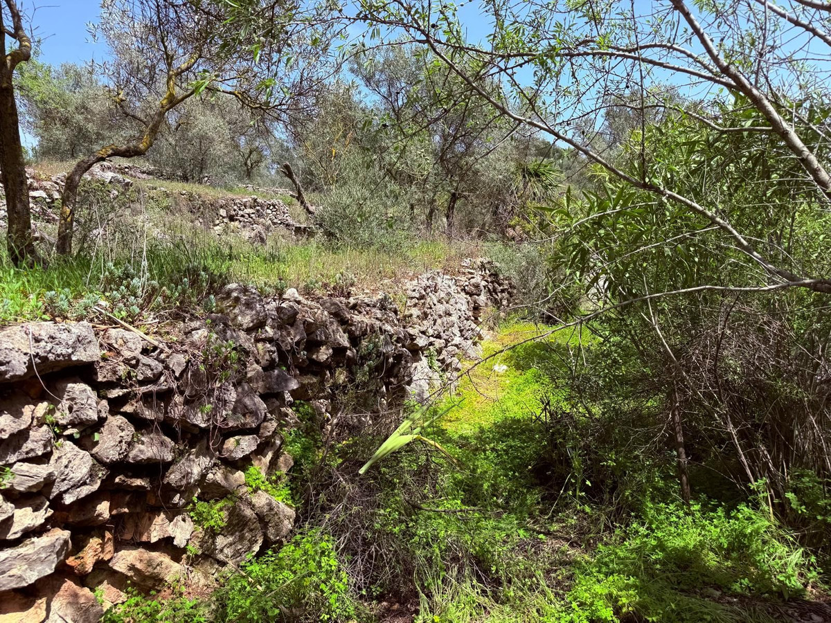 Property main view 28