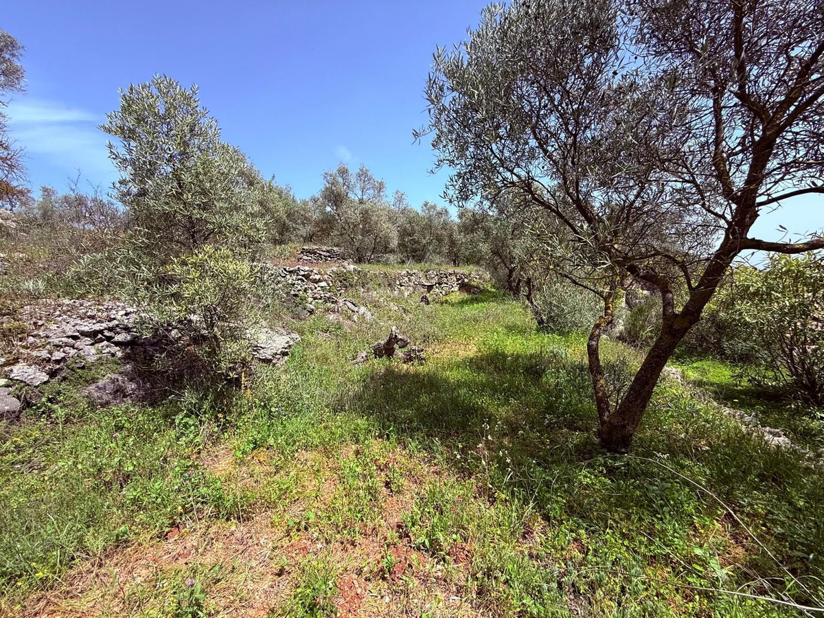 Property main view 31