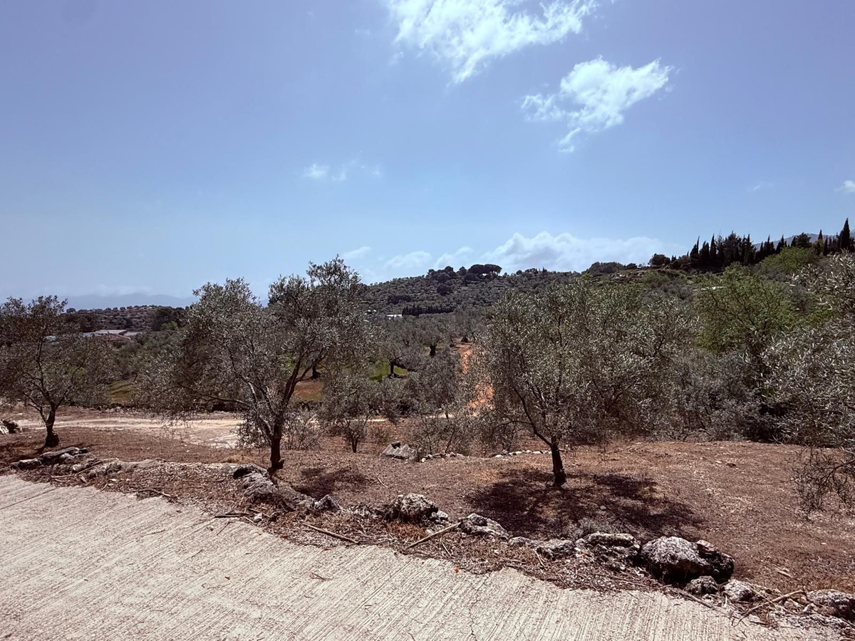 Property main view 33