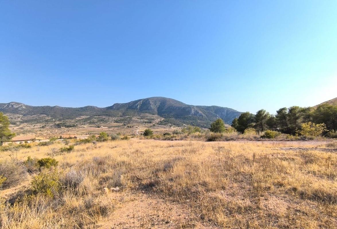 land te koop in Algueña | 0 slaapkamers H615833