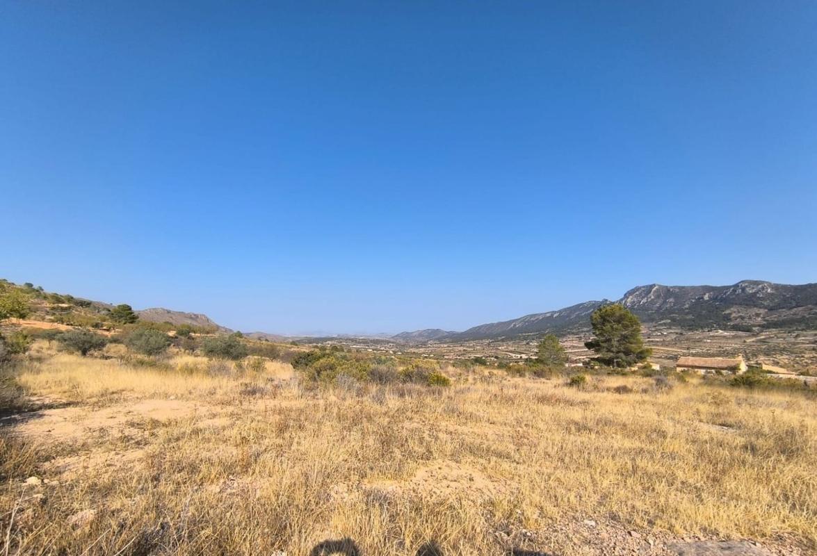 land te koop in Algueña | 0 slaapkamers H615833