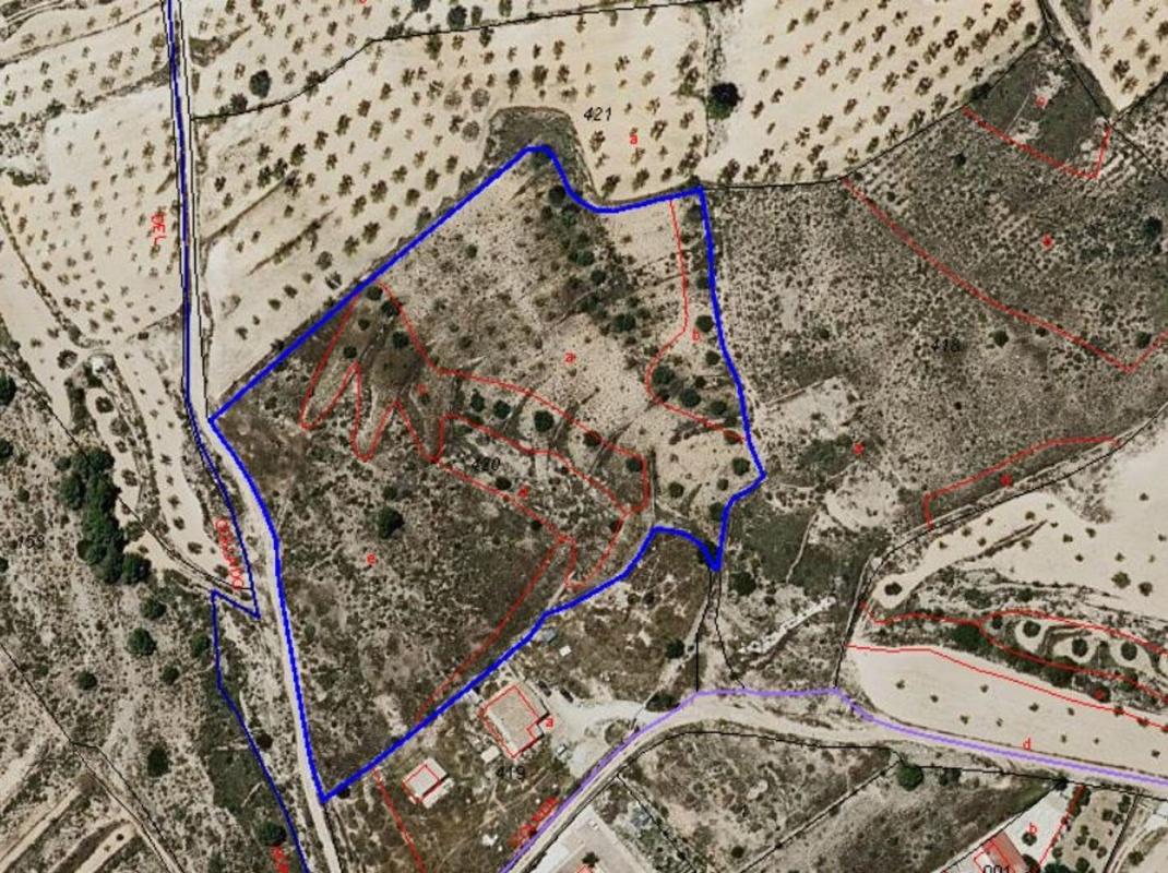 land te koop in Algueña | 0 slaapkamers H615833
