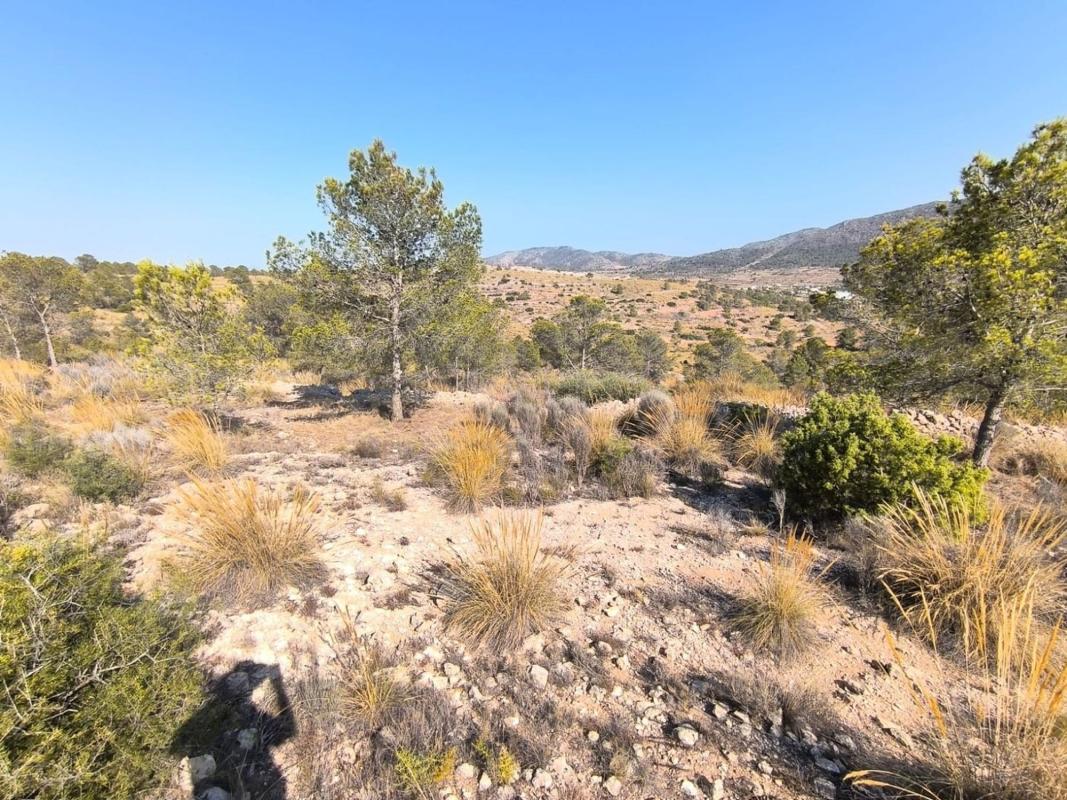 Property main view 2