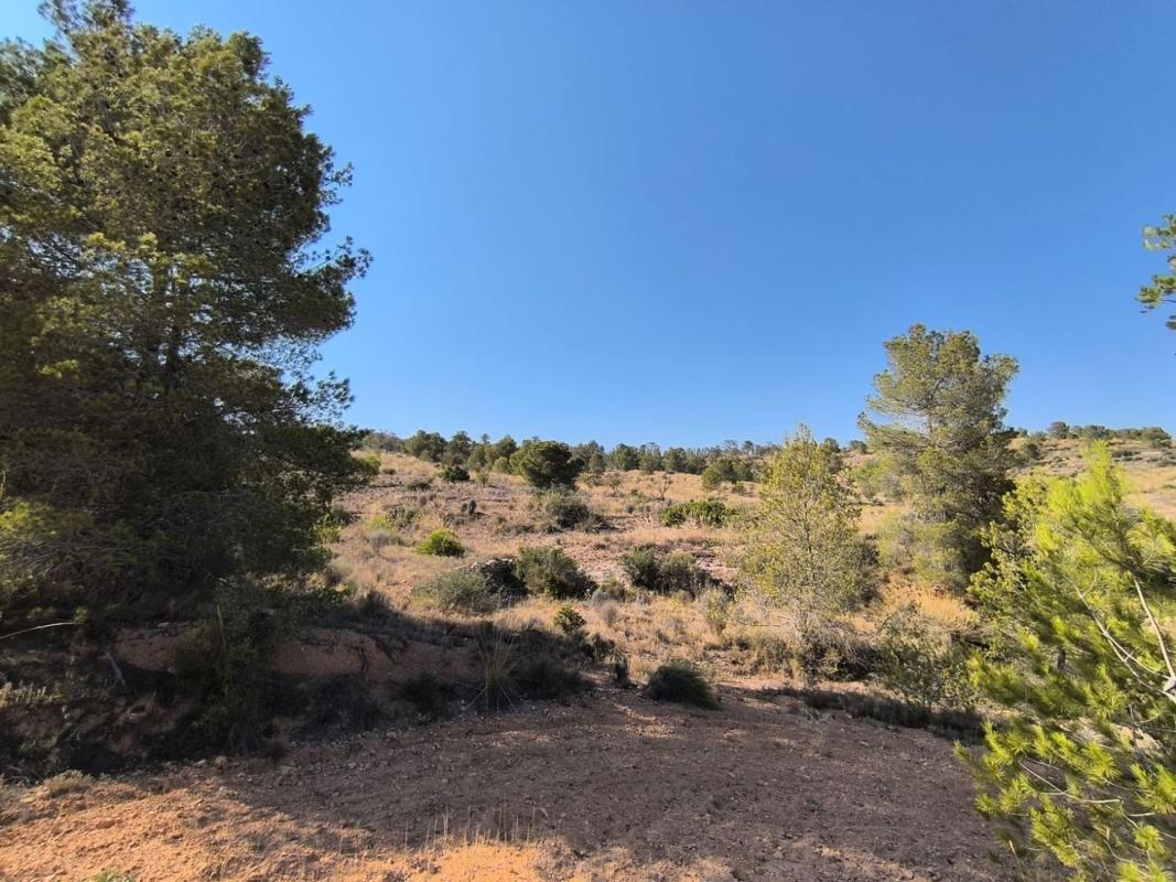 Property main view 4