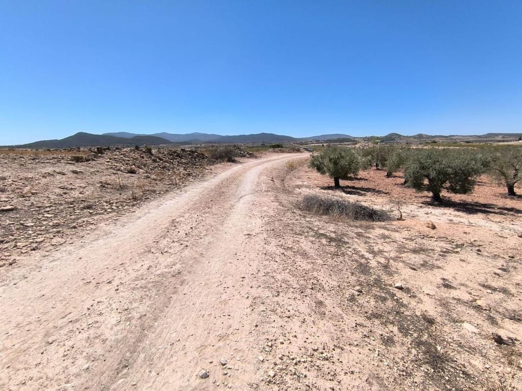 land te koop in Monovar | 0 slaapkamers H615779