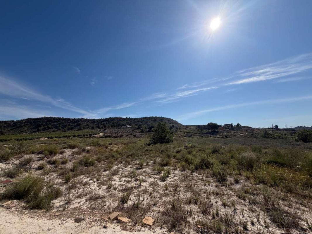 land te koop in Orihuela | 0 slaapkamers H484975