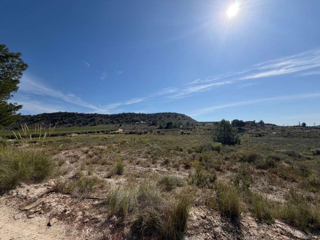 land te koop in Orihuela | 0 slaapkamers H484975