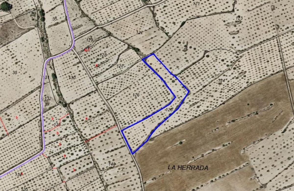 land te koop in Pinoso | 0 slaapkamers H595081