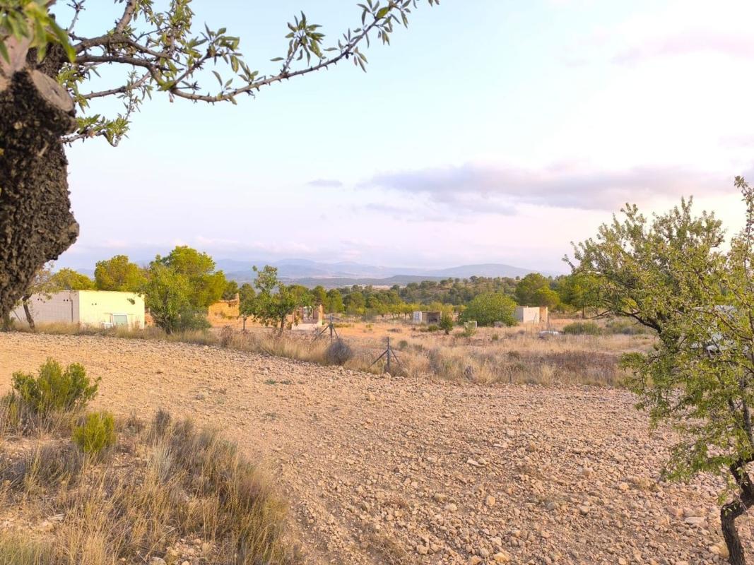 land te koop in Pinoso | 0 slaapkamers H615694