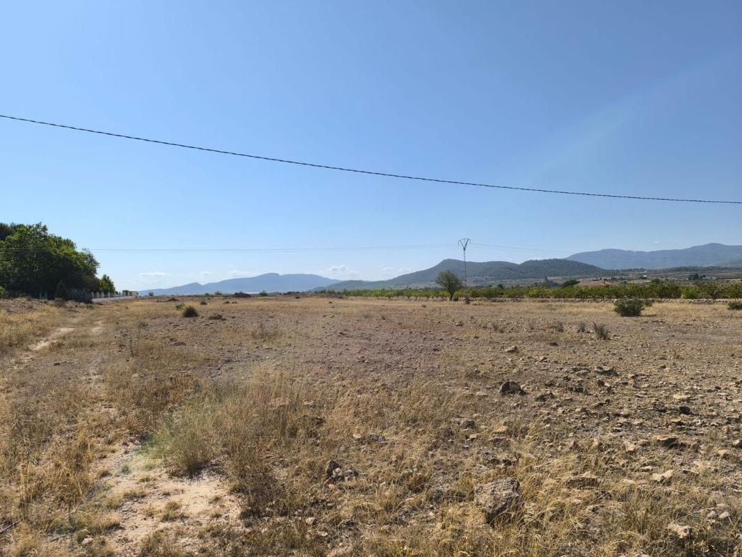 Property main view 2