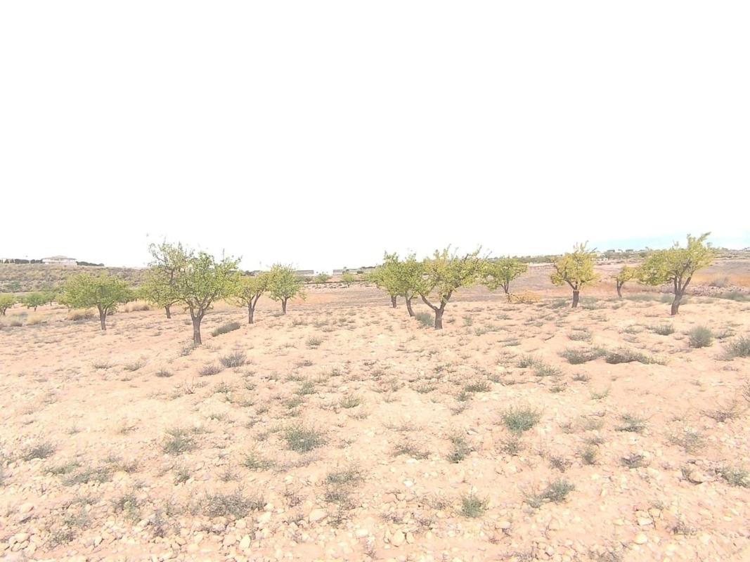Property main view 2