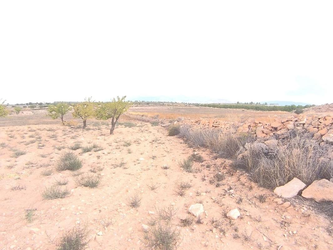 Property main view 3
