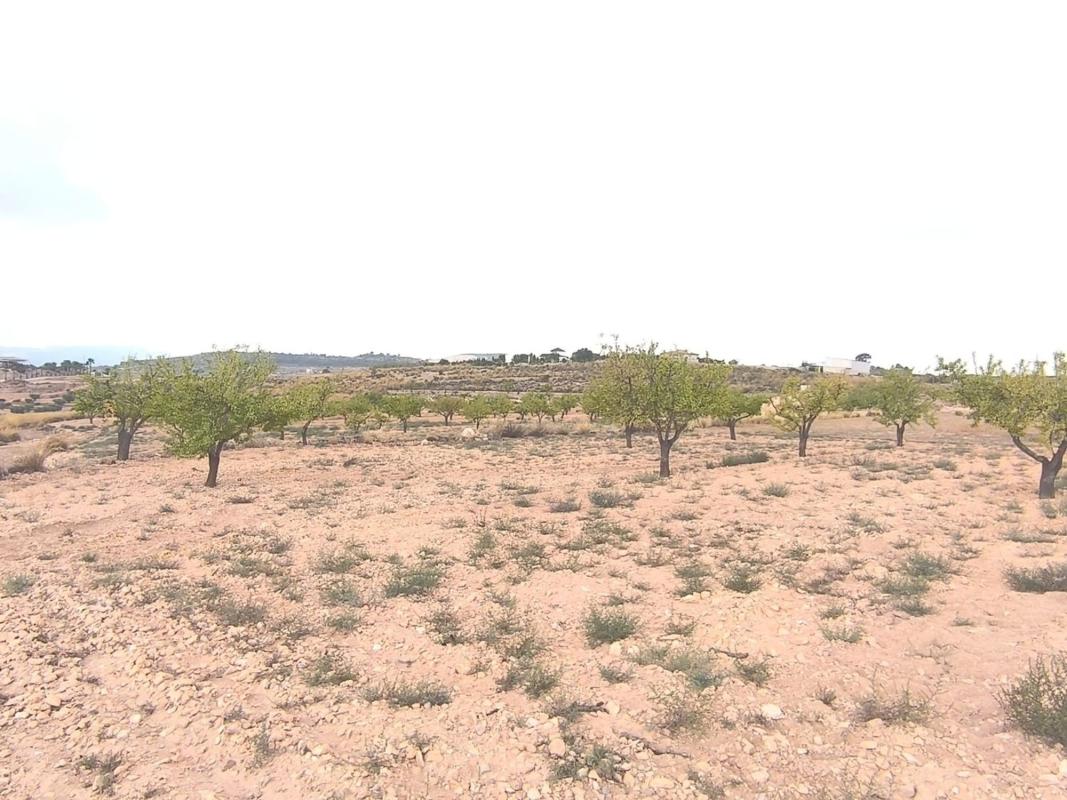 Property main view 5