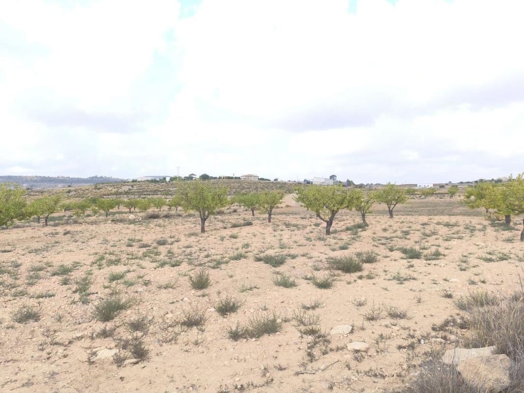 Property main view 6
