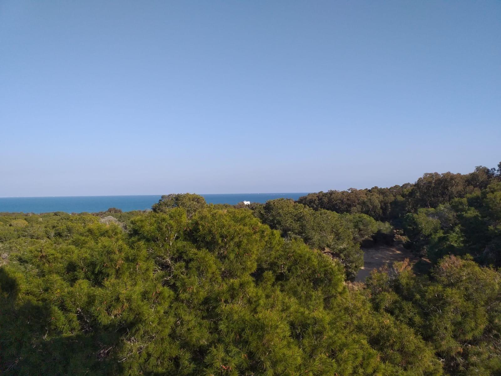 Property main view 13