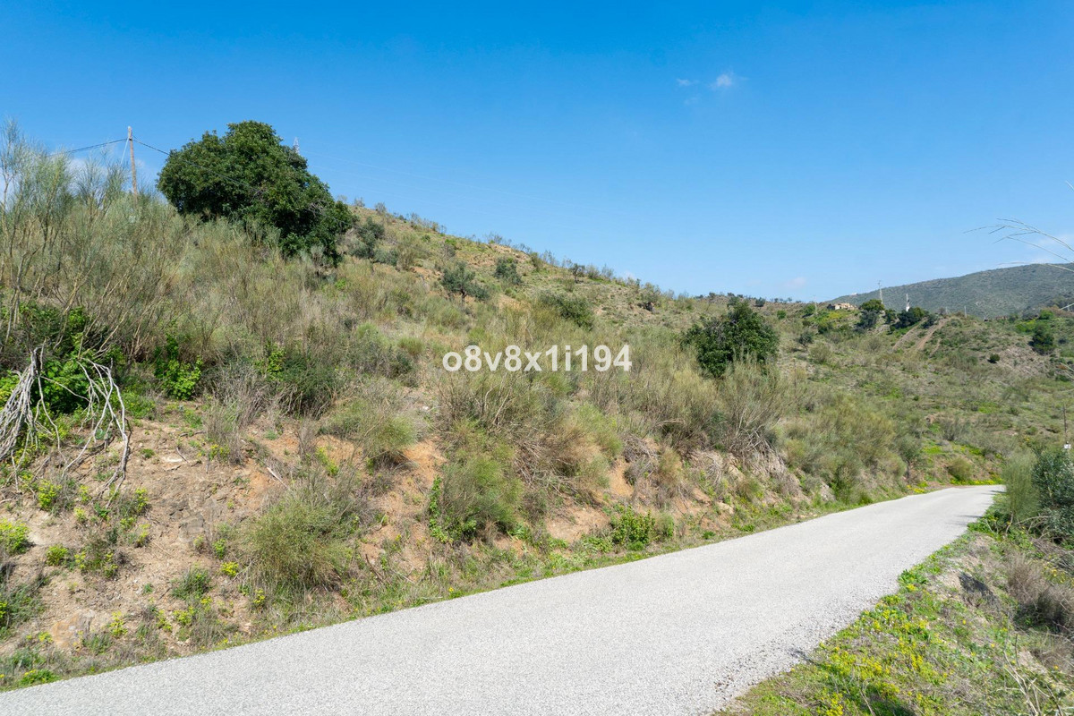 Property main view 11