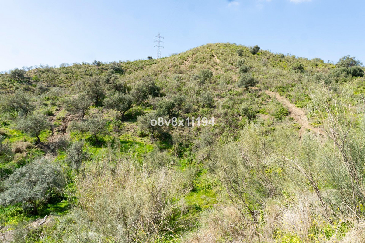 Property main view 15